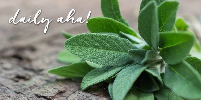 sage