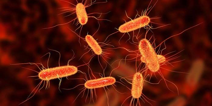 0613-yb-bacteria