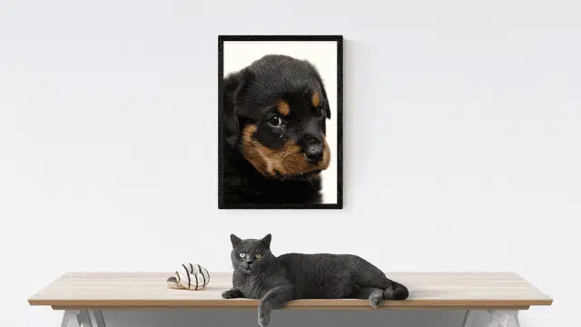 Les tableaux d&rsquo;animaux pour décorer sa maison