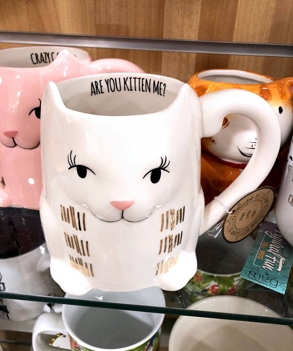 are you kitten me mug